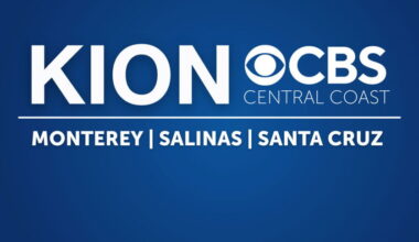 El fósil de los "dinosaurios en duelo" obliga a replantear radicalmente los restos de T. rex – KION TV