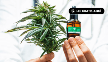 ¿qué se sabe y qué no?