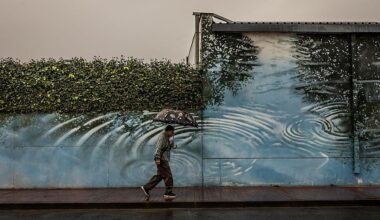 Una ruta por los murales de Logroño del centro a los barrios
