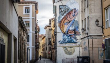 Los murales que más pintan en Logroño
