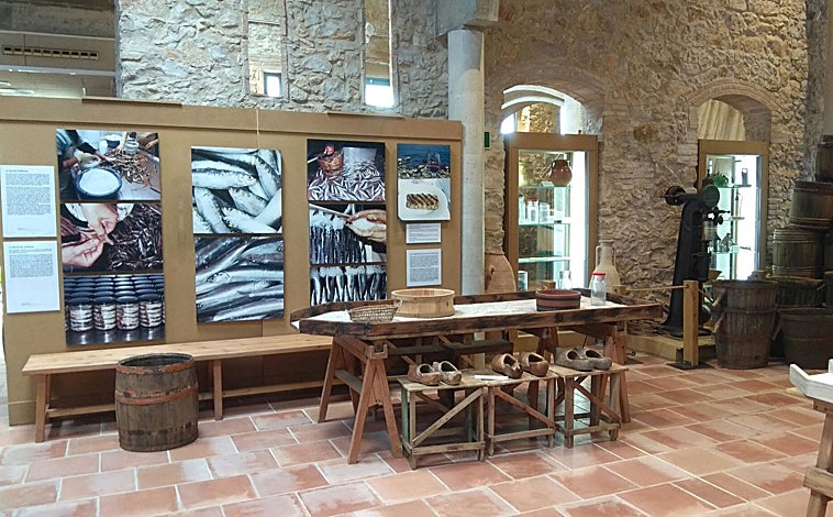 Imagen principal - Una de las salas del Museo de la Anchoa y la Sal (MASLE) (arriba); Ecomuseo Farinera (abajo izquierda); y Marc Arumí de Abellaires Empordanesos