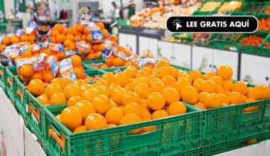 Mercadona revela de dónde vienen sus naranjas: proceden de cinco comunidades