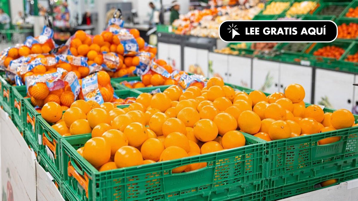 Mercadona revela de dónde vienen sus naranjas: proceden de cinco comunidades