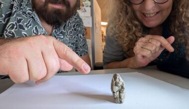 La mujer cortejada por un ganso, erotismo de hace 12.000 años y la figurilla más antigua que une a humanos y animales