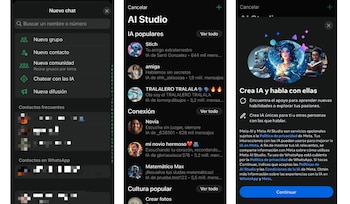 La creación del chatbot con
