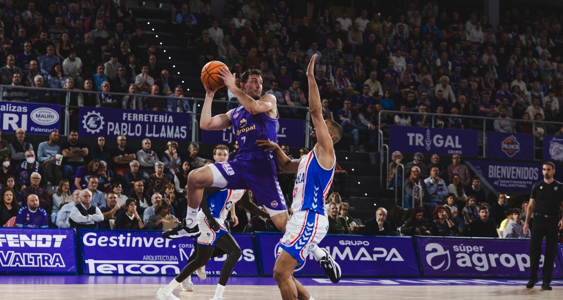 El Súper Agropal Palencia se deshace ante el Alicante