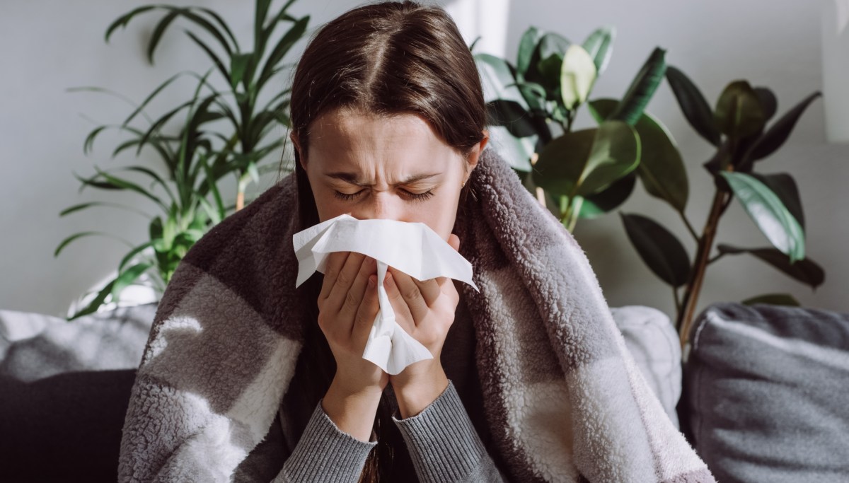 Tu sistema inmunitario puede estar envejeciendo a pasos acelerados (signos y recomendaciones)