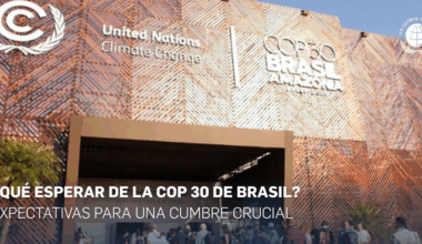 resultados de la cumbre climática en Brasil y su impacto en las empresas · Pacto Mundial