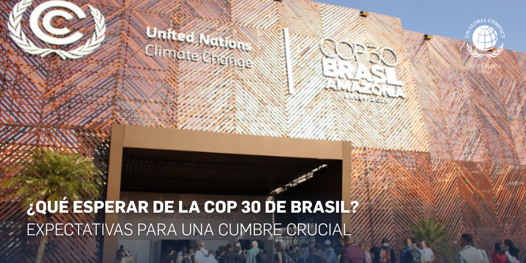 resultados de la cumbre climática en Brasil y su impacto en las empresas · Pacto Mundial