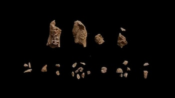 El descubrimiento plantea que la