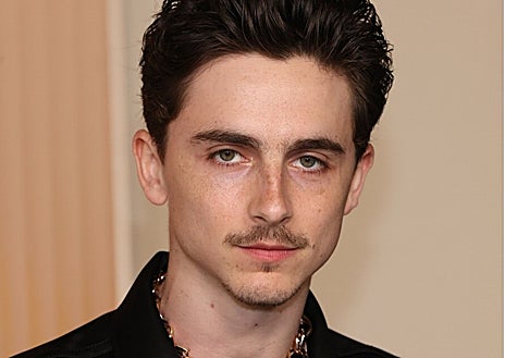 Imagen secundaria 1 - Johnny Depp con el estilo Van Dyke, una perilla con bigote separado; Timothée Chalamet lleva el piramidal, y Brad Pitt, el bigote lápiz. 