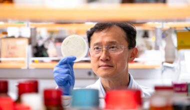 Virus genéticamente modificados para extraer tierras raras