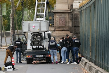 Expertos señalan que la falta