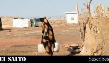 Las Fuerzas de Apoyo Rápido (RSF) de Sudán anuncian un alto el fuego de tres meses - El Salto