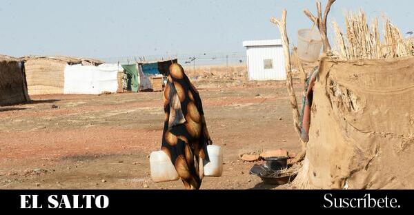 Las Fuerzas de Apoyo Rápido (RSF) de Sudán anuncian un alto el fuego de tres meses - El Salto