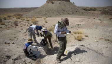 Dos especies de Australopitecos coexistieron en África