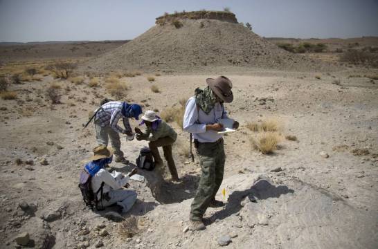 Dos especies de Australopitecos coexistieron en África