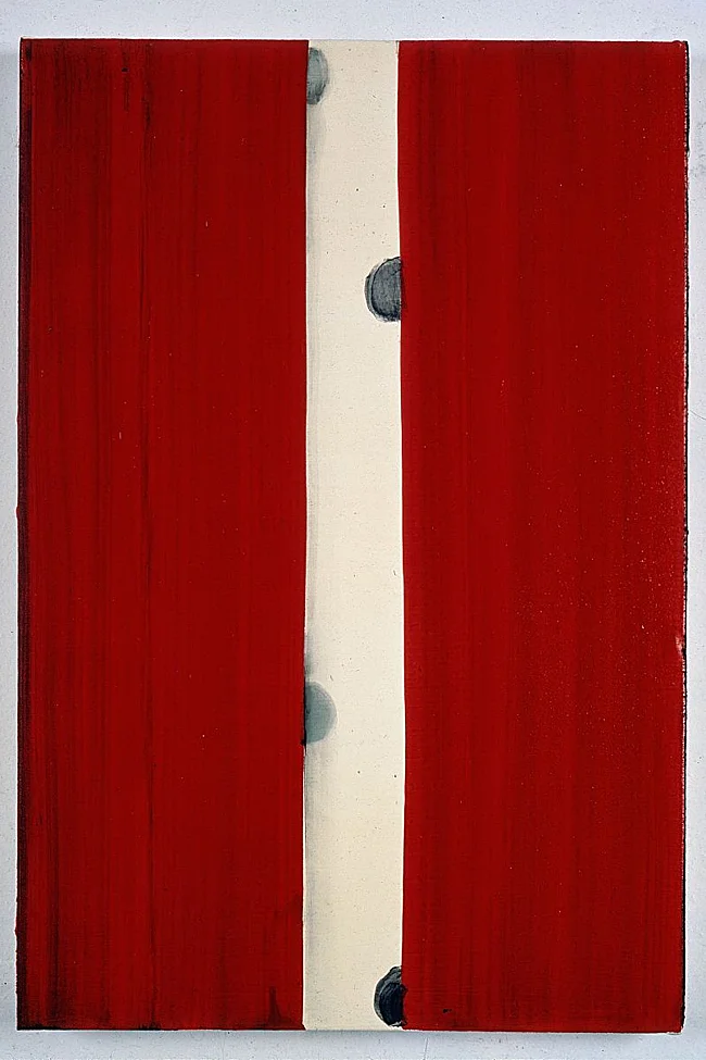 Amapola', 1991. Colección Soledad Lorenzo, MNCARS.