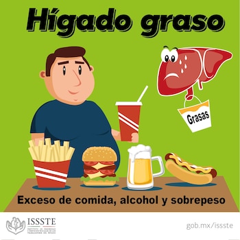 Alimentos sugeridos y patrones dietéticos