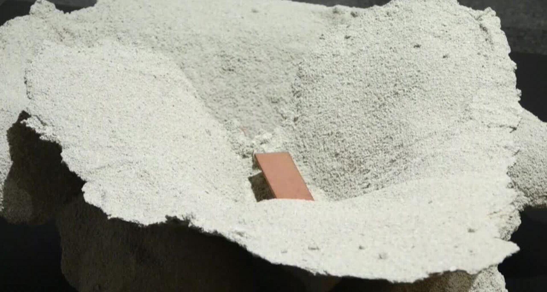 Unas 200 obras del MACBA, en su 30ª aniversario, se exhiben 'Como una danza de estorninos'