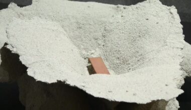 Unas 200 obras del MACBA, en su 30ª aniversario, se exhiben 'Como una danza de estorninos'