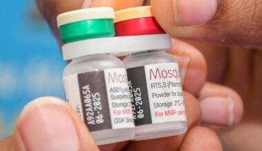 Nuevo acuerdo para vacunar a más niños contra la malaria : IPS Agencia de Noticias