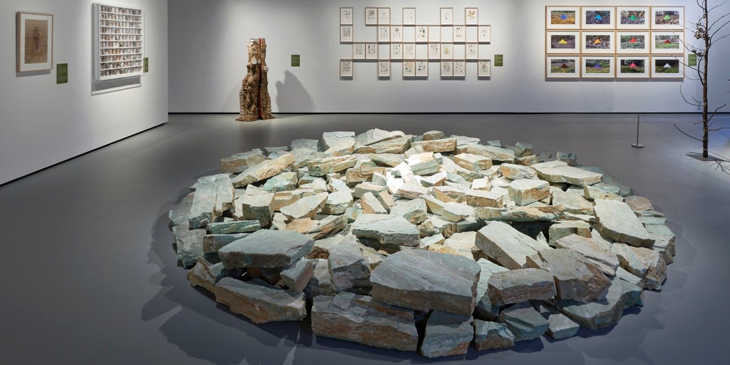 El camino natural de la Fundación Masaveu hacia Morasverdes