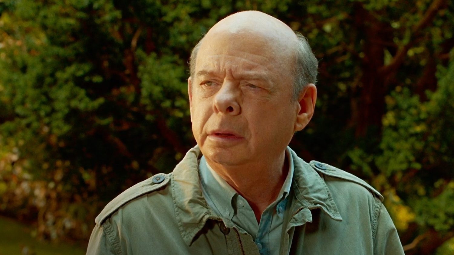 Wallace Shawn