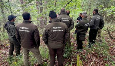 UGT Servicios Públicos denuncia el incumplimiento generalizado de la Ley Básica de Agentes Forestales y Medioambientales por parte de las Comunidades Autónomas