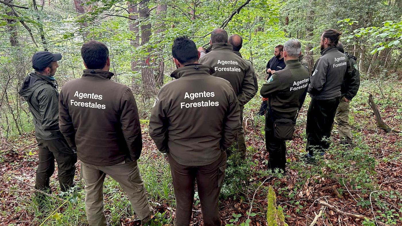 UGT Servicios Públicos denuncia el incumplimiento generalizado de la Ley Básica de Agentes Forestales y Medioambientales por parte de las Comunidades Autónomas