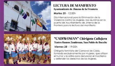 Día de la Eliminación de la Violencia de Género