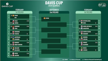 Djokovic aparece en el camino de España en la Davis de 2026