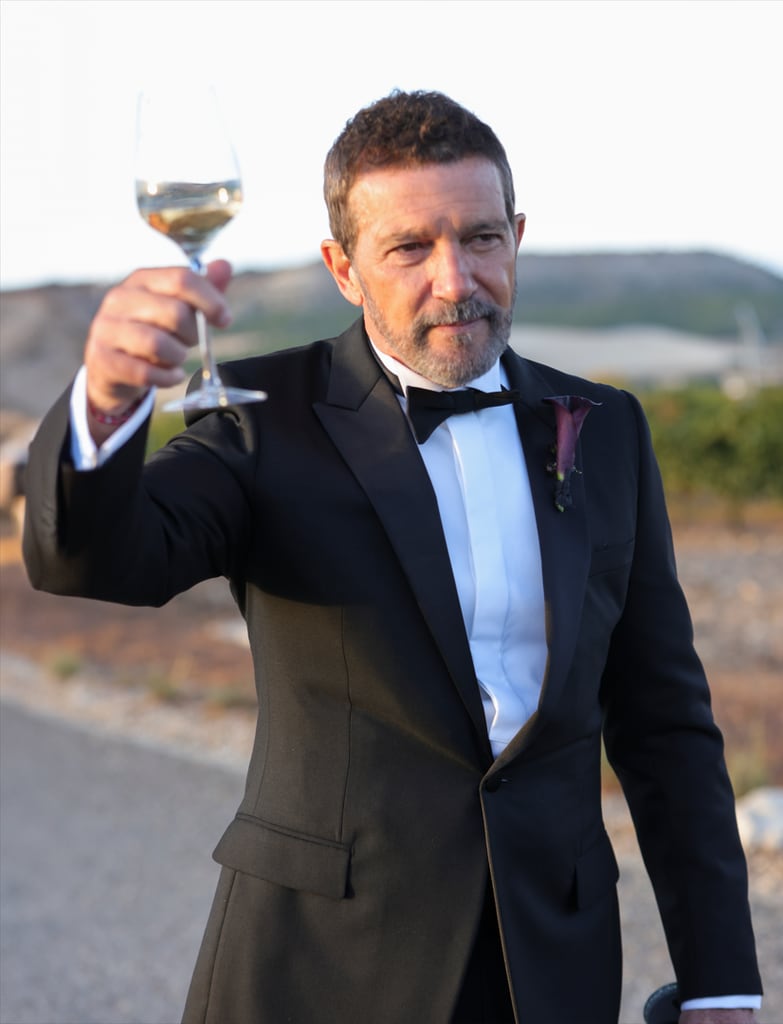 Antonio Banderas en la boda de Stella 