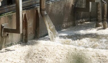 Sensores basados en bacterias, los nuevos guardianes invisibles del agua