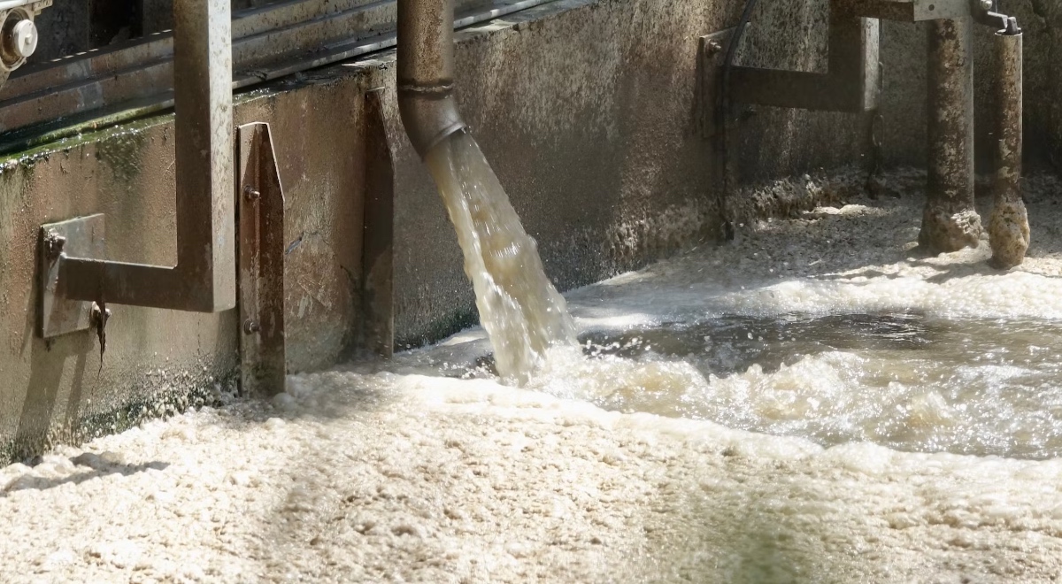 Sensores basados en bacterias, los nuevos guardianes invisibles del agua