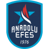 ANADOLU EFES, 74