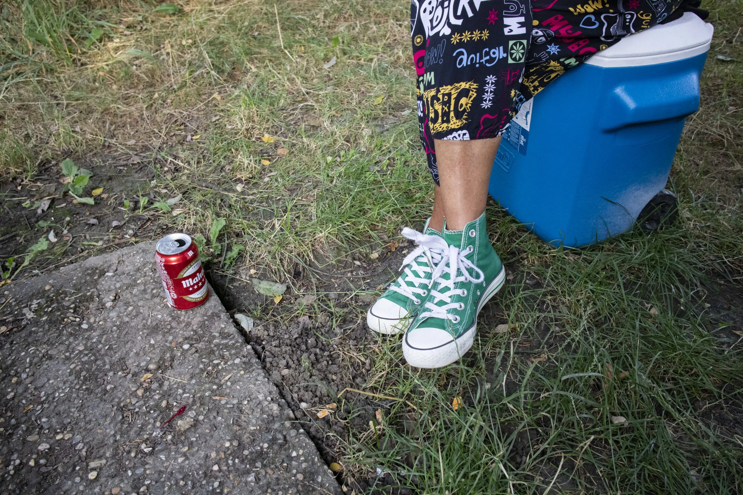 anillo verde. miradas divergentes