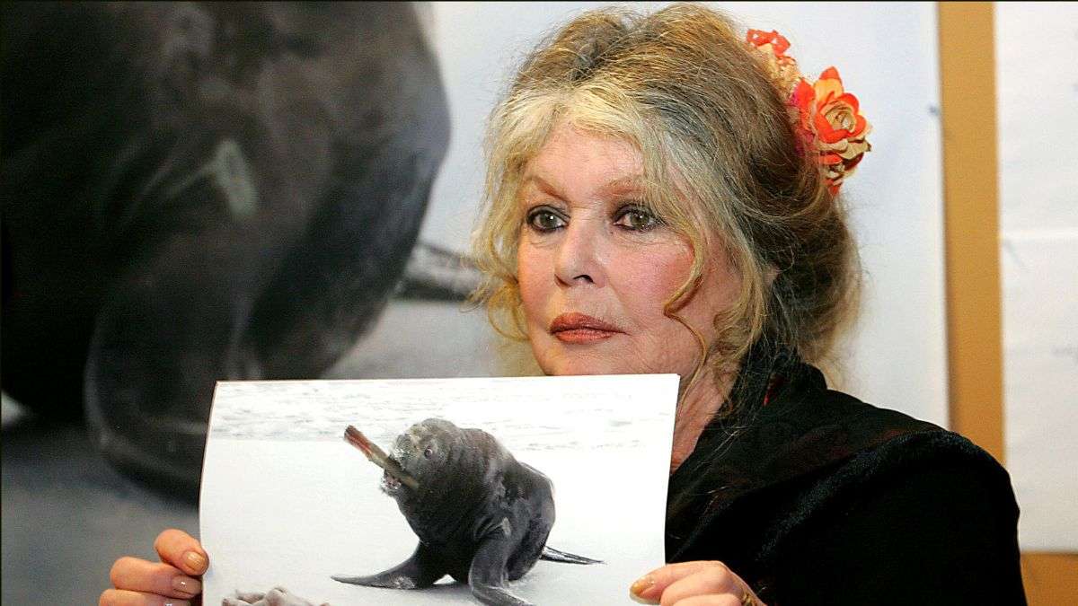 Brigitte Bardot es activista por los derechos de los animales