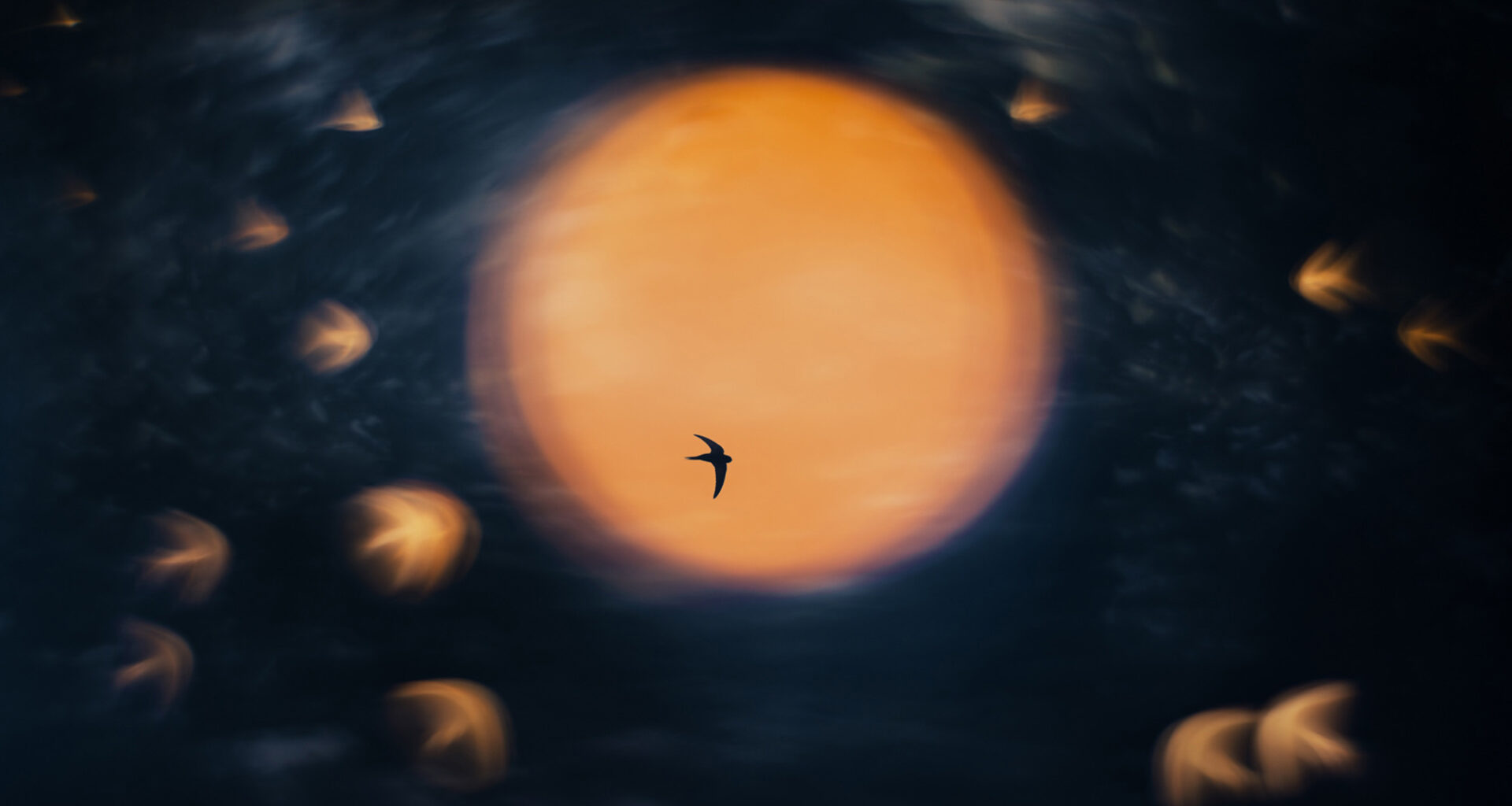 El fotógrafo que derramó un café y se convirtió en el Nature Photographer of the year 2025