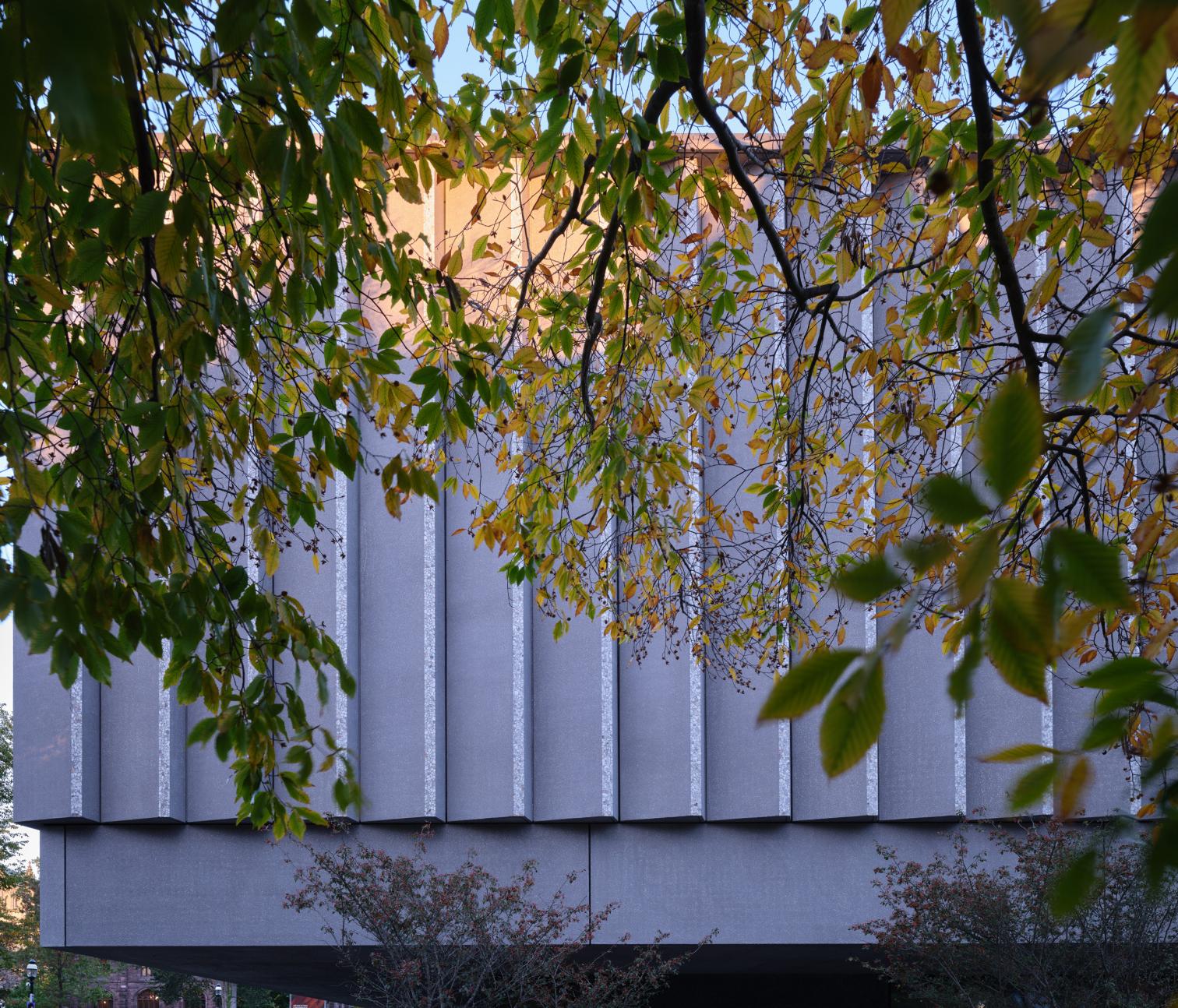 Museo de Arte de la Universidad de Princeton