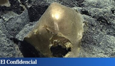 "Algo intentó entrar o salir, pero no sabemos qué"