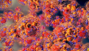 Células del estómago, como fábricas de insulina - Ciencia y tecnologia