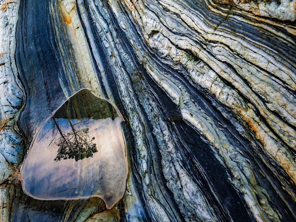 Después de la lluvia, los árboles se reflejan en un charco de agua formado en el tronco de un árbol