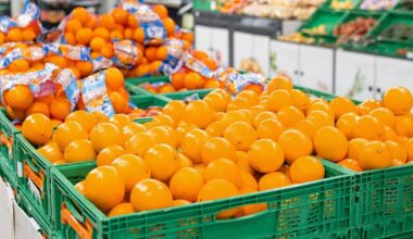 Mercadona revela de dónde proceden las naranjas que venden en sus supermercados entre noviembre y agosto