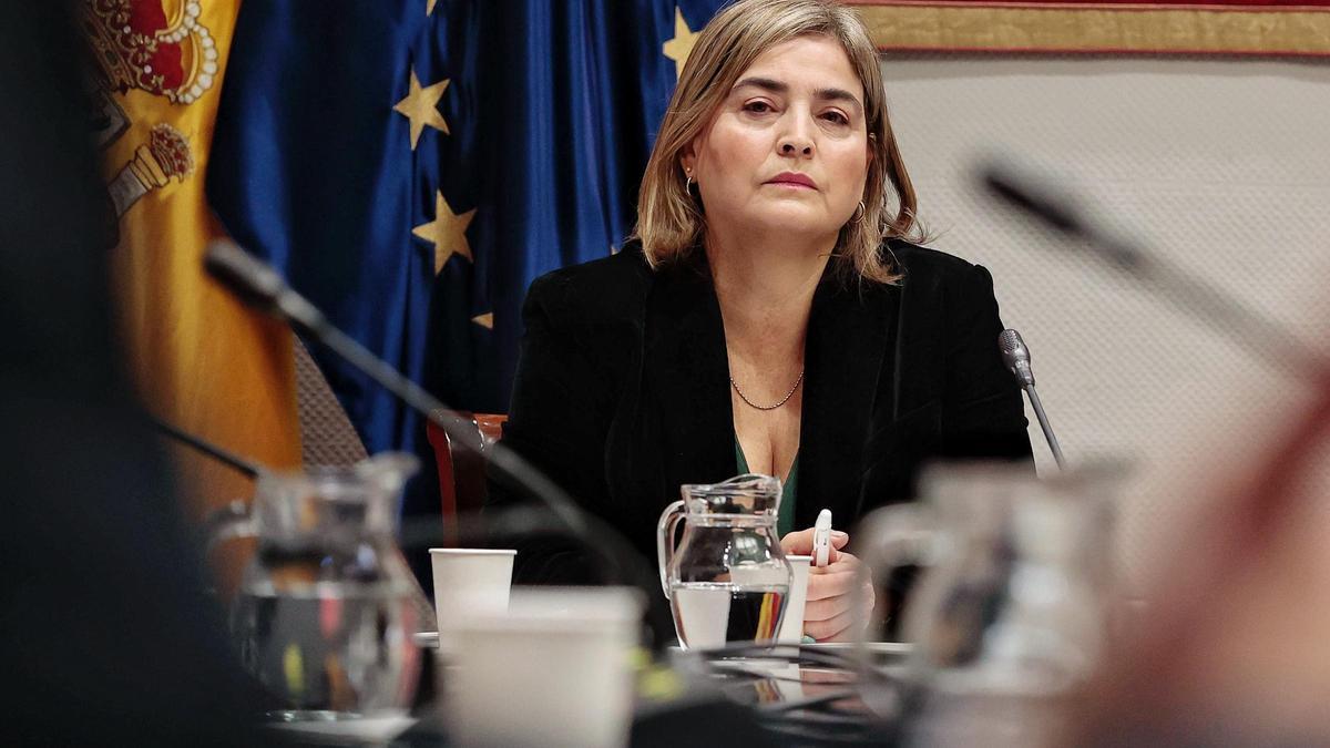 María Méndez en la comisión del Parlamento de Canarias.