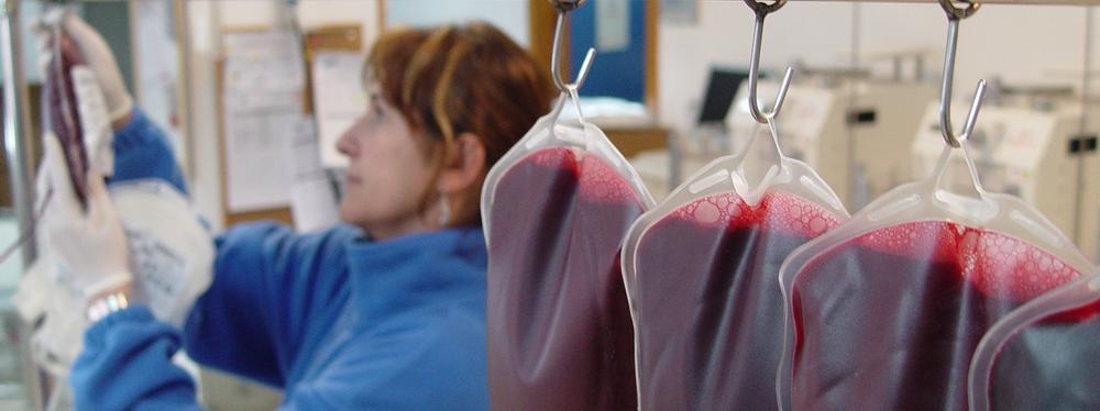 Identifican el primer caso autóctono humano de infección por el virus zoonoósico Usutu en España