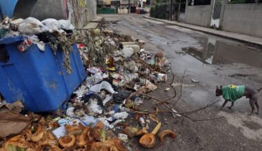 Cuba se hunde en una crisis sanitaria sin precedentes por una ola de infecciones transmitidas por mosquitos que arrasa la isla