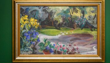 Las imágenes del Bellas Artes de Álava