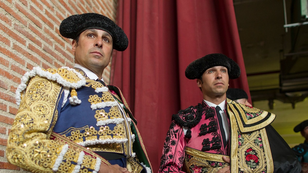 la respuesta de su abogado