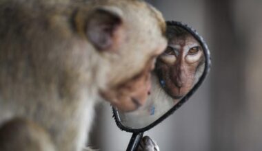 Montehermoso despide este domingo la exposición &quot;World Press Photo&quot;